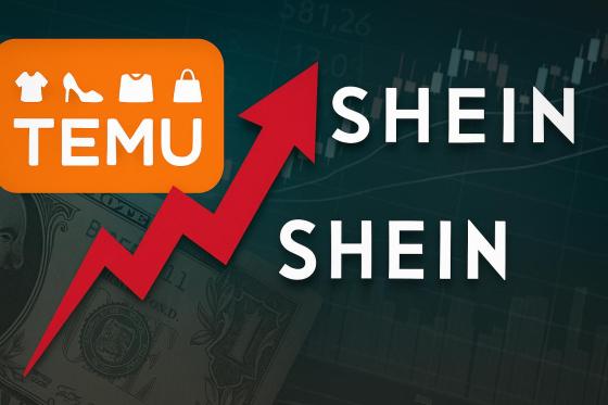temu y shein