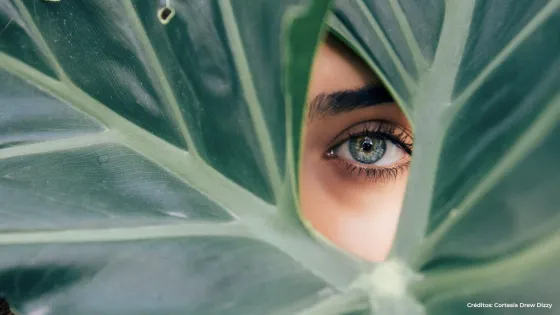 La belleza: el alimento del espíritu