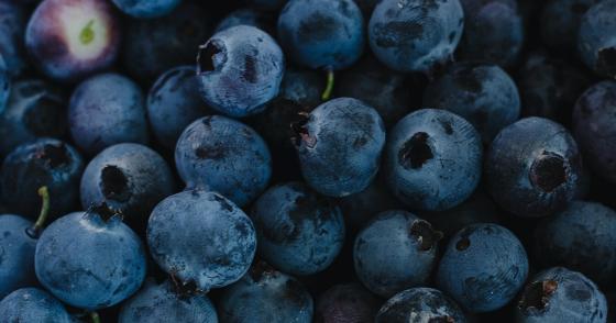 Alimentos hígado