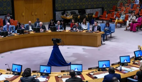Consejo de Seguridad de las Naciones Unidas