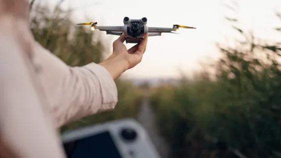 Drones, referencia
