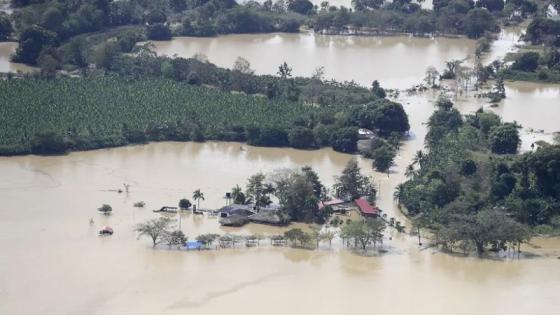 Lluvias fuera de temporada dejan más de 19.000 familias afectadas en 24 municipios de Córdoba. 