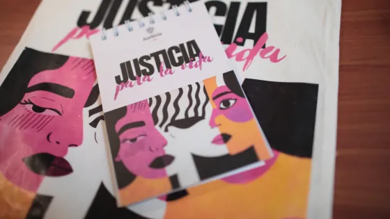 ‘Guía para la valoración de la percepción del riesgo de feminicidio en el contexto familiar’