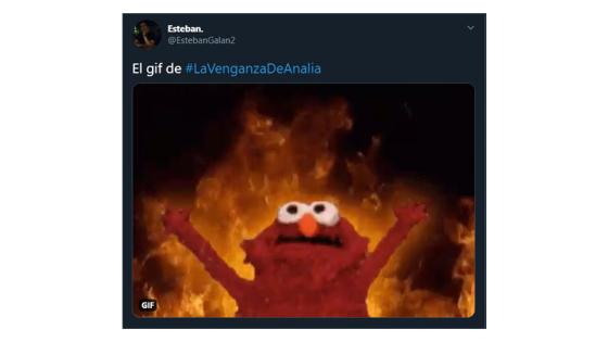 Memes de La Venganza de Analía
