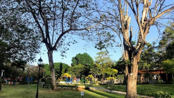 Detienen y sancionan a Mery Alfaro por no usar mascarilla en Parque Omar