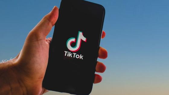 alt tiktok