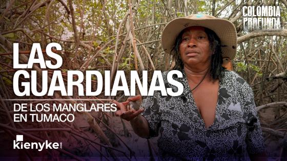 Manglares tumaco