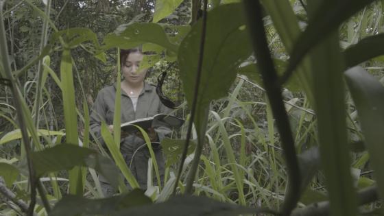 priscila-padilla
