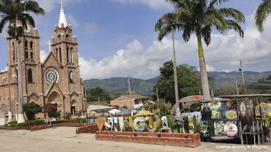 Chaguani