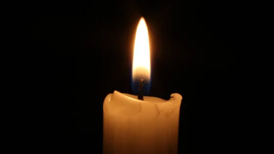 Vela