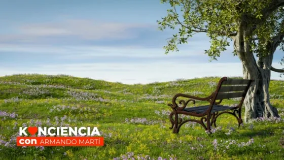 Konciencia